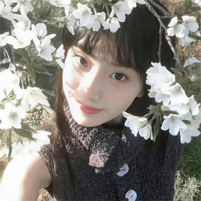 牵牛的夏天